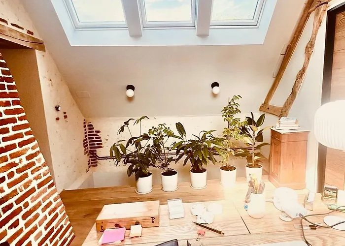 度假居 La Jolie Maison Dans Le Perche Bonsmoulins